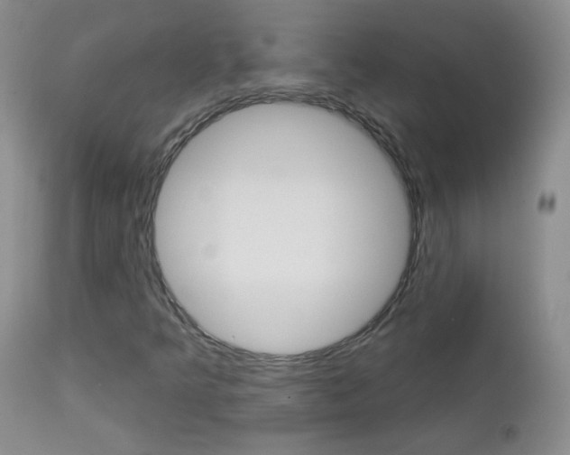 X0000113101349200908280942