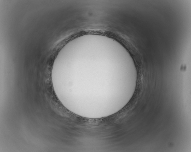 X0000113101350200908280942