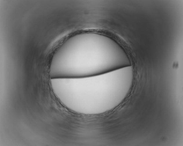 X0000113101351200908280942
