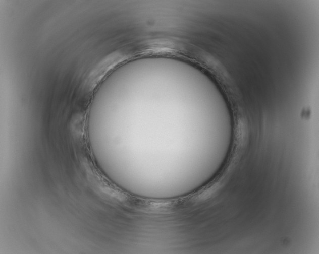 X0000113101353200908280942