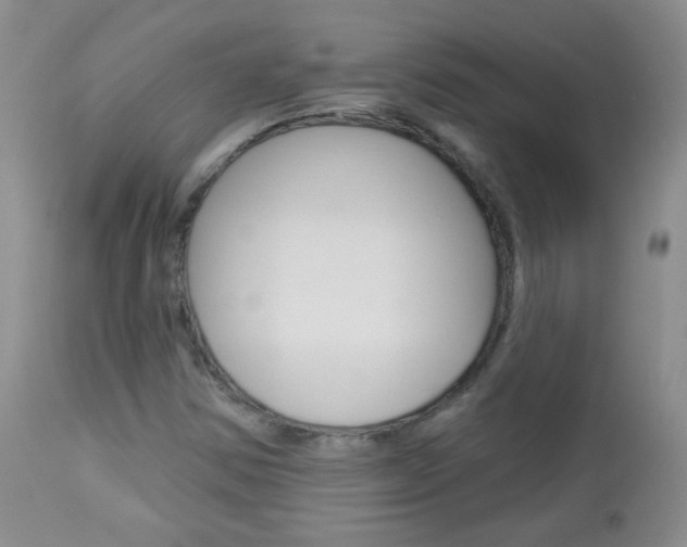 X0000113101354200908280942