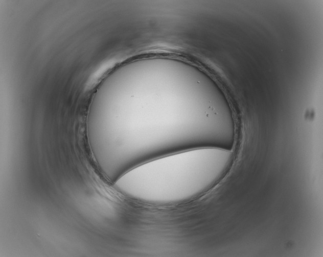 X0000113101355200908280942