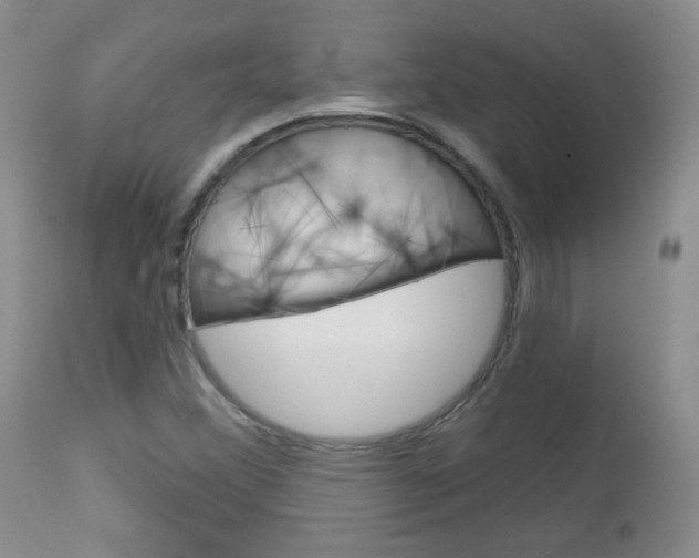 X0000113101356200908280942