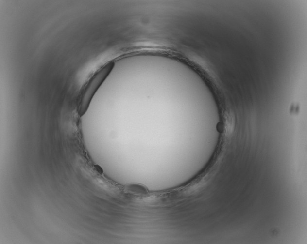 X0000113101357200908280942