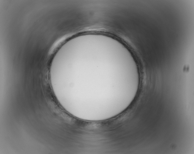 X0000113101358200908280942