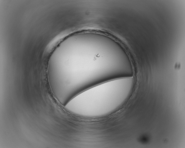 X0000113101359200908280942