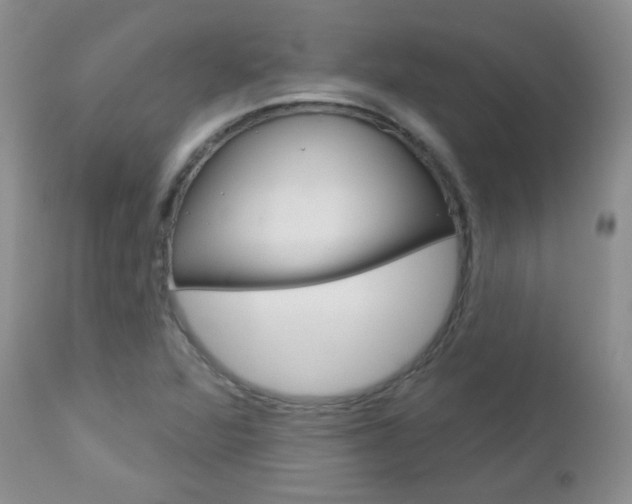 X0000113101360200908280942