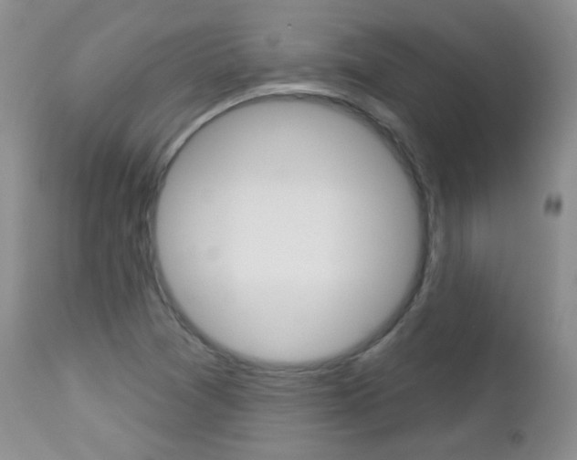 X0000113101361200908280942