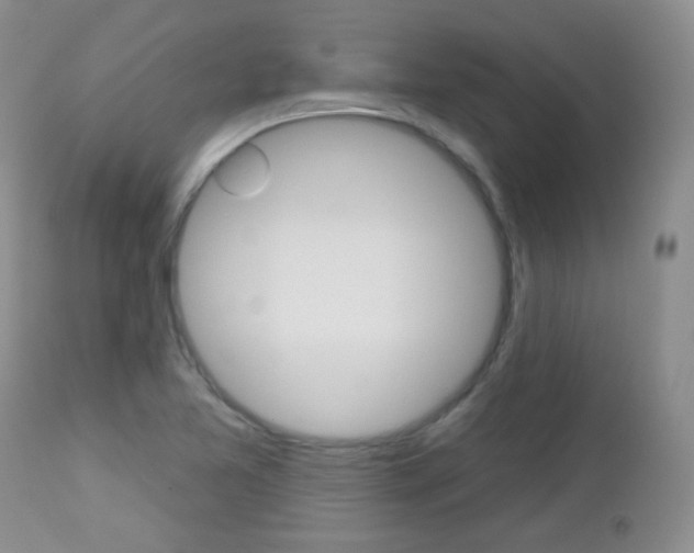 X0000113101365200908280942
