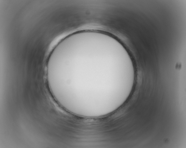 X0000113101366200908280942