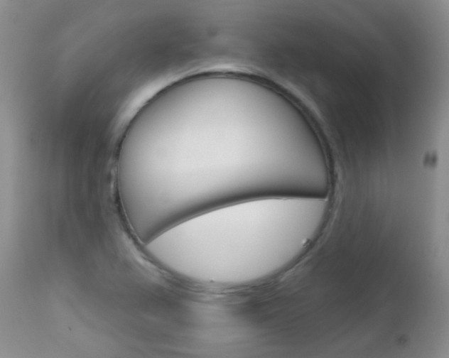 X0000113101367200908280942