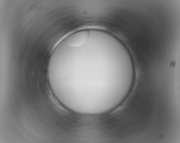 X0000113101369200908280942
