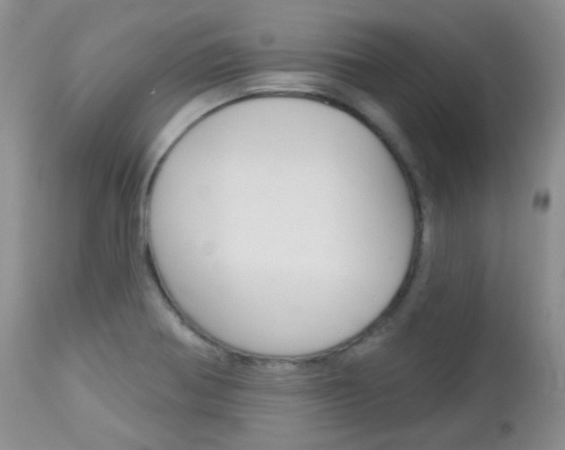X0000113101370200908280942