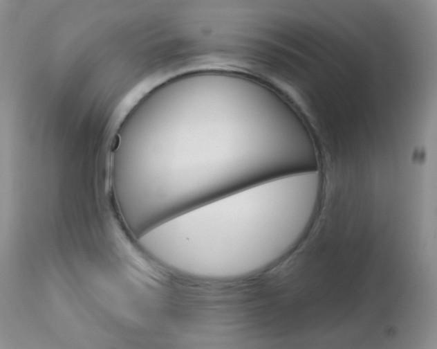 X0000113101371200908280942