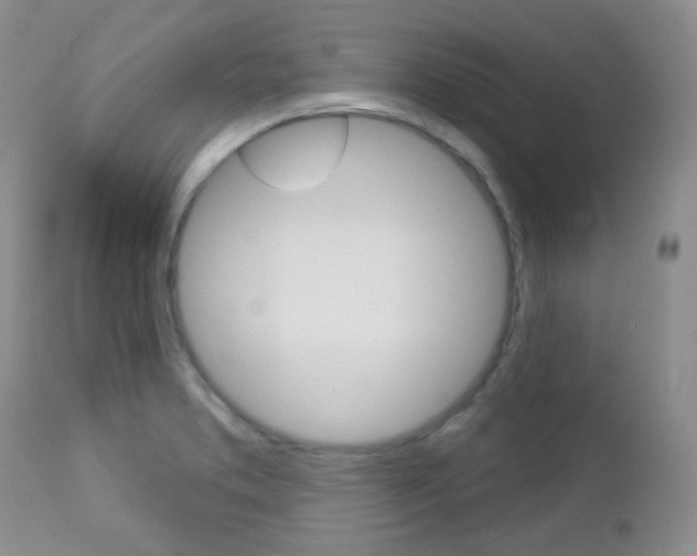 X0000113101373200908280942