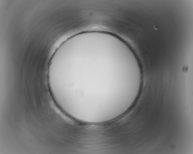 X0000113101374200908280942