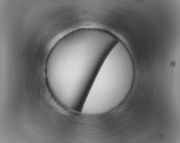 X0000113101375200908280942