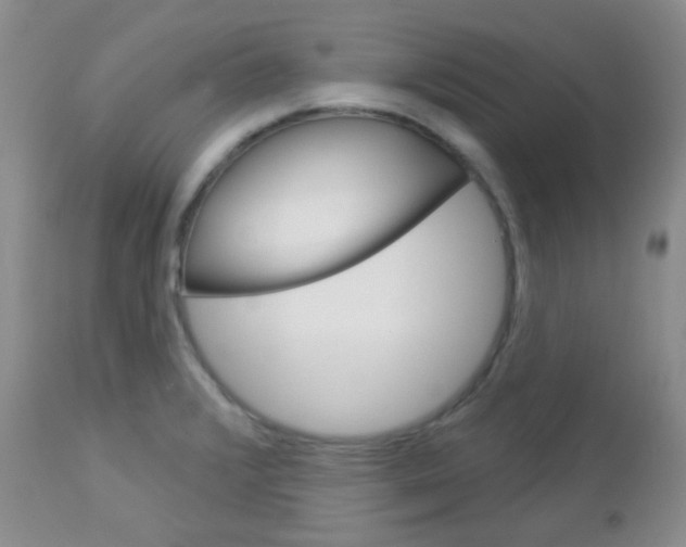 X0000113101376200908280942