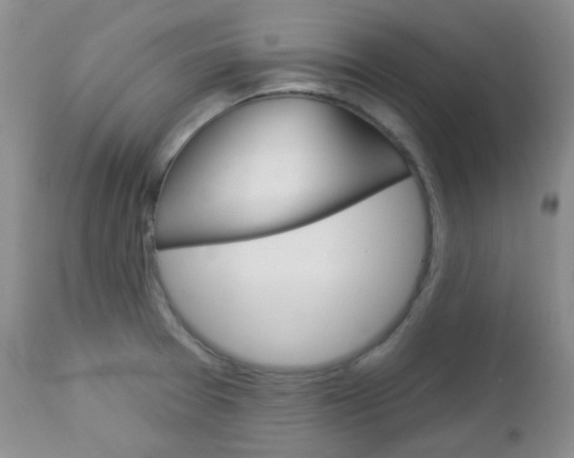 X0000113101377200908280942