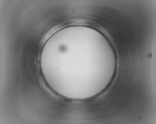 X0000113101378200908280942
