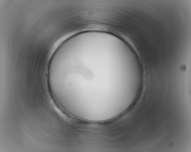 X0000113101379200908280942