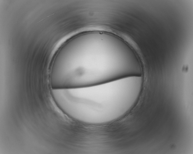 X0000113101380200908280942