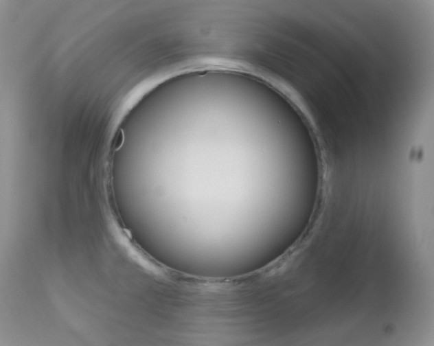 X0000113101381200908280942