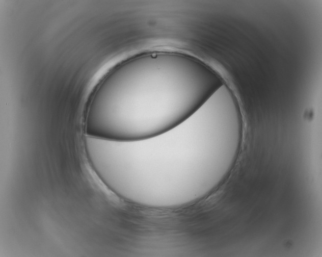 X0000113101384200908280942