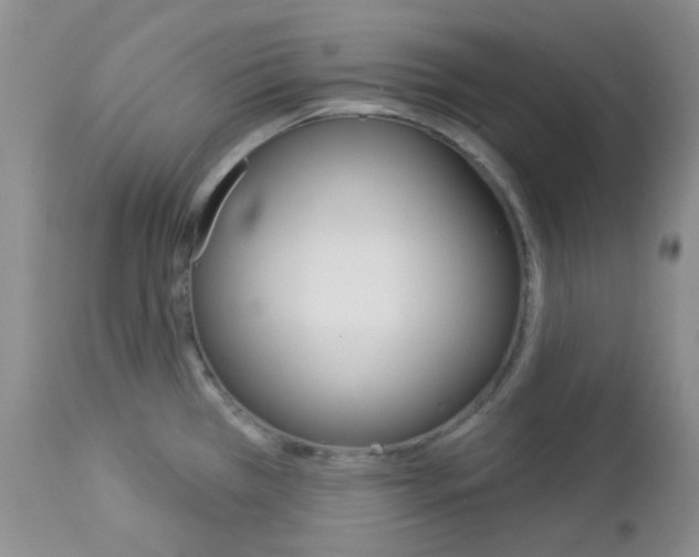 X0000113101385200908280942