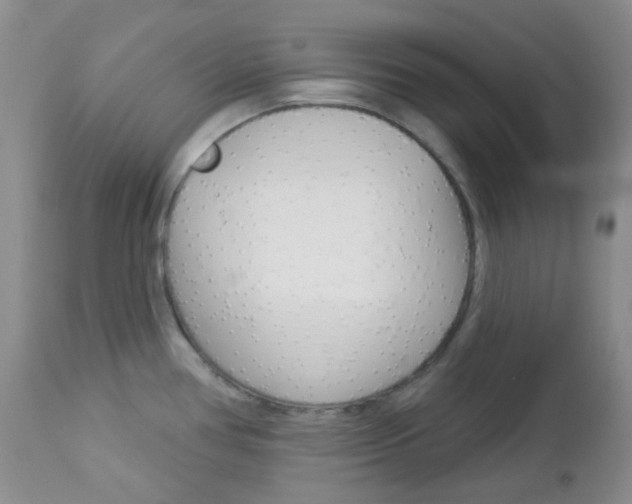 X0000113101386200908280942