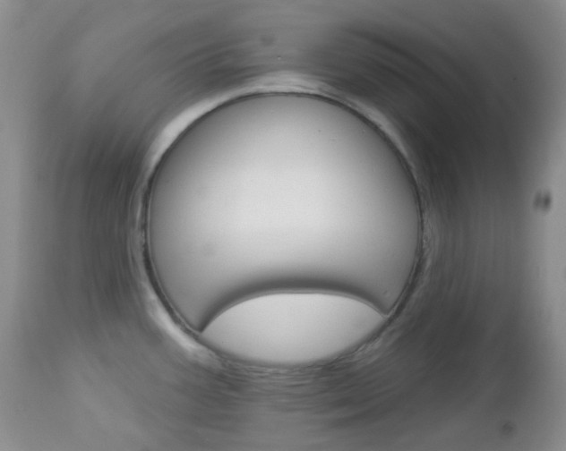 X0000113101387200908280942