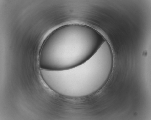 X0000113101388200908280942