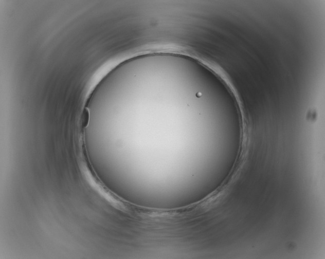 X0000113101389200908280942