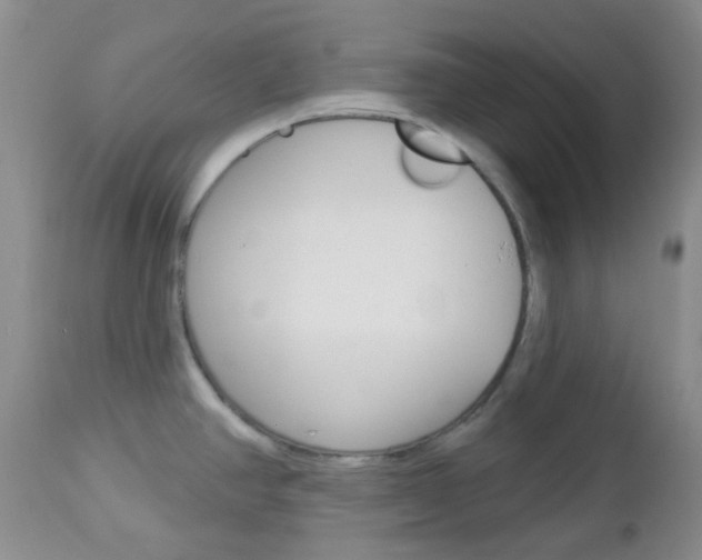 X0000113101390200908280942