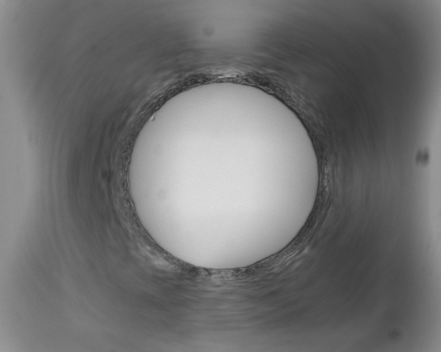 X0000113101393200908280941
