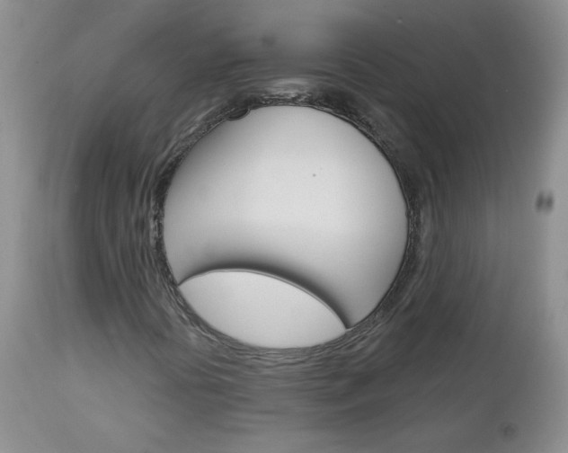 X0000113101394200908280941