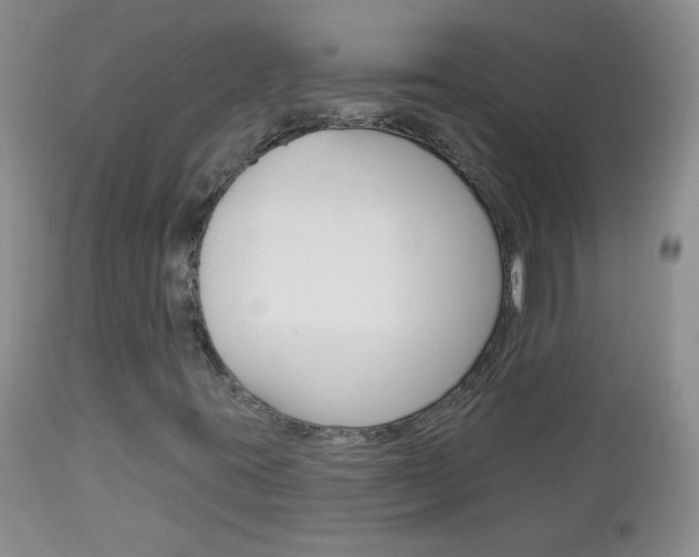 X0000113101395200908280941