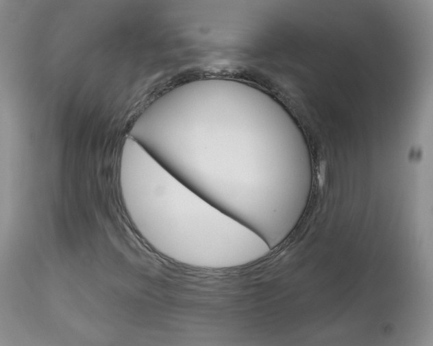 X0000113101396200908280941