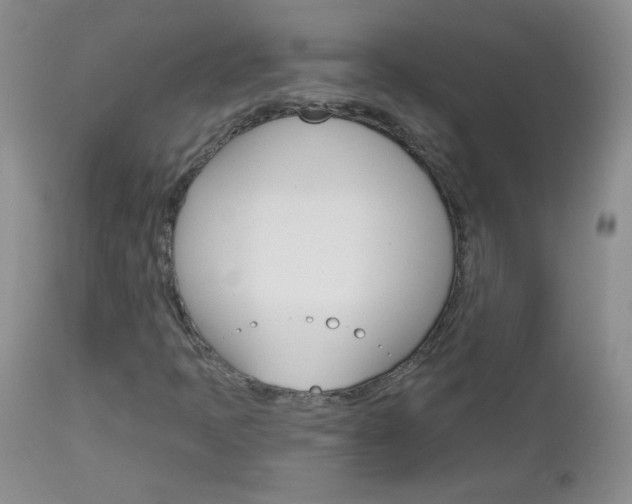 X0000113101397200908280941