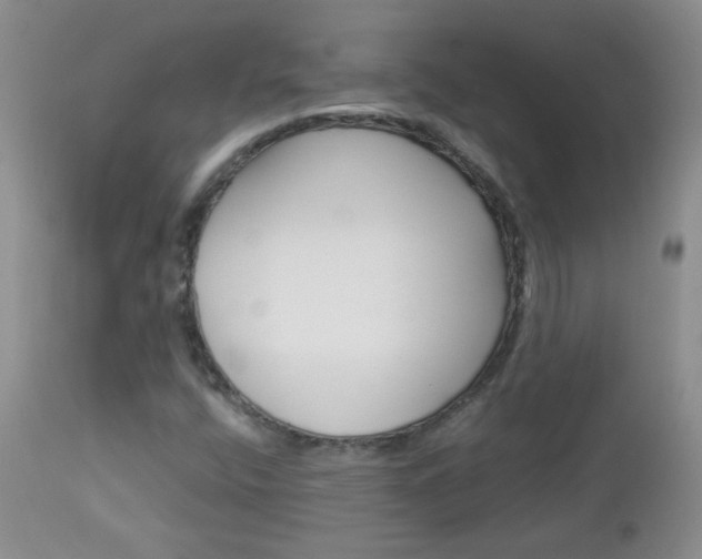 X0000113101400200908280941