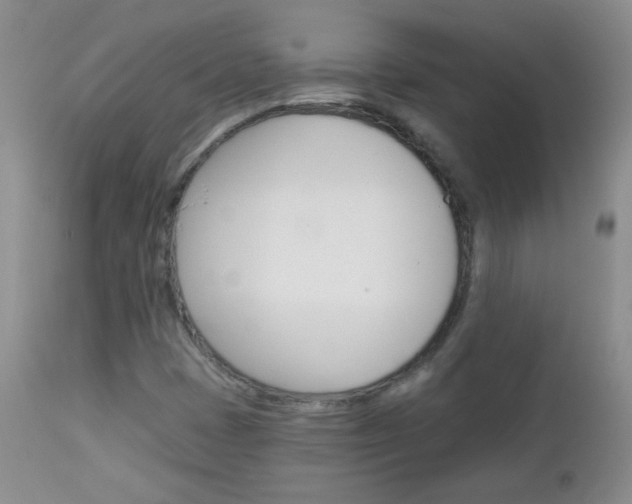 X0000113101401200908280941