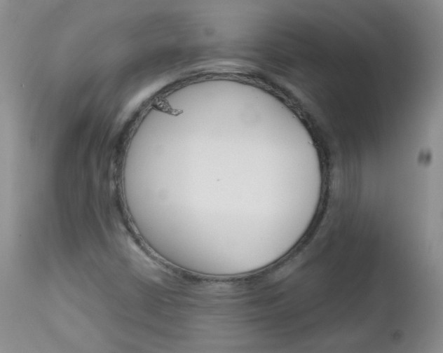 X0000113101402200908280941