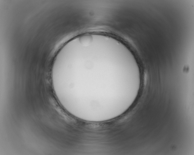 X0000113101405200908280941