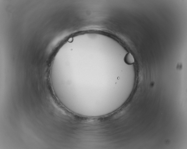 X0000113101406200908280941