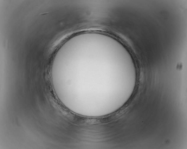 X0000113101407200908280941