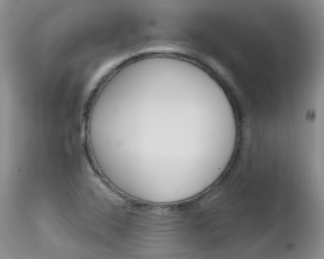 X0000113101408200908280941