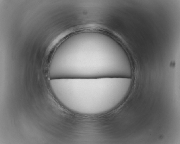 X0000113101410200908280941