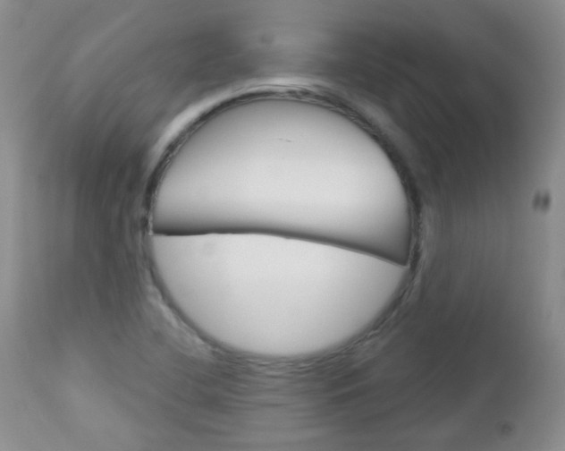 X0000113101412200908280941