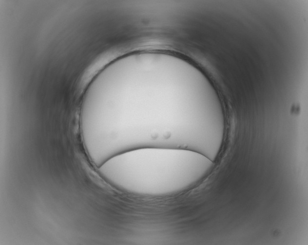 X0000113101413200908280941
