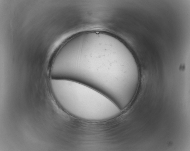 X0000113101414200908280941